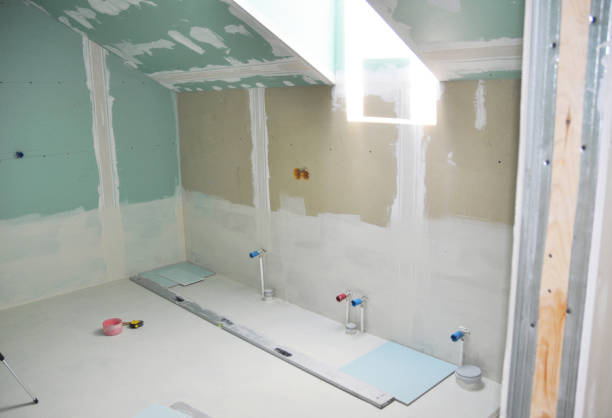 Trusted Somerset, WI Mold Removal Experts