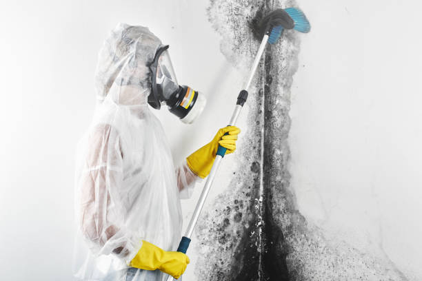 Best Forensic Mold Investigation  in Somerset, WI