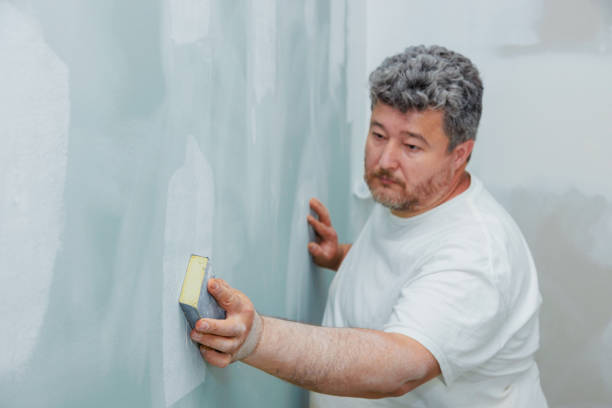 Best Airborne Mold Testing  in Somerset, WI