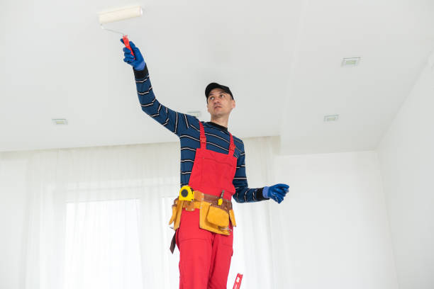 Best Basement Mold Removal  in Somerset, WI