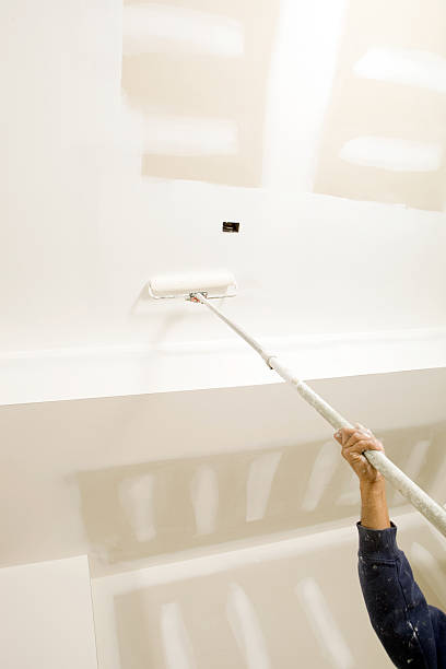 Best Attic Mold Removal  in Somerset, WI