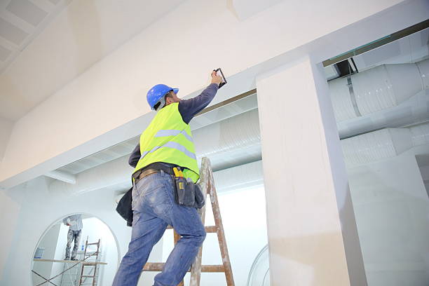 Best Water Damage & Mold Remediation  in Somerset, WI