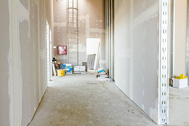 Best Comprehensive Air Testing for Mold Contaminants  in Somerset, WI