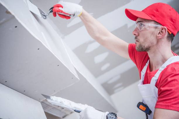  Somerset, WI Mold Removal Pros